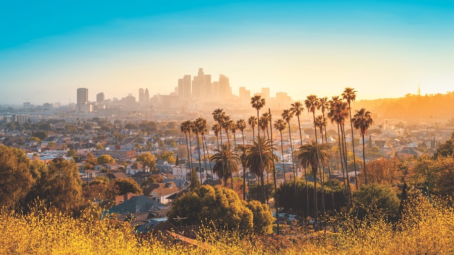 City of Los Angeles blue and yellow sky, buldings and palm trees